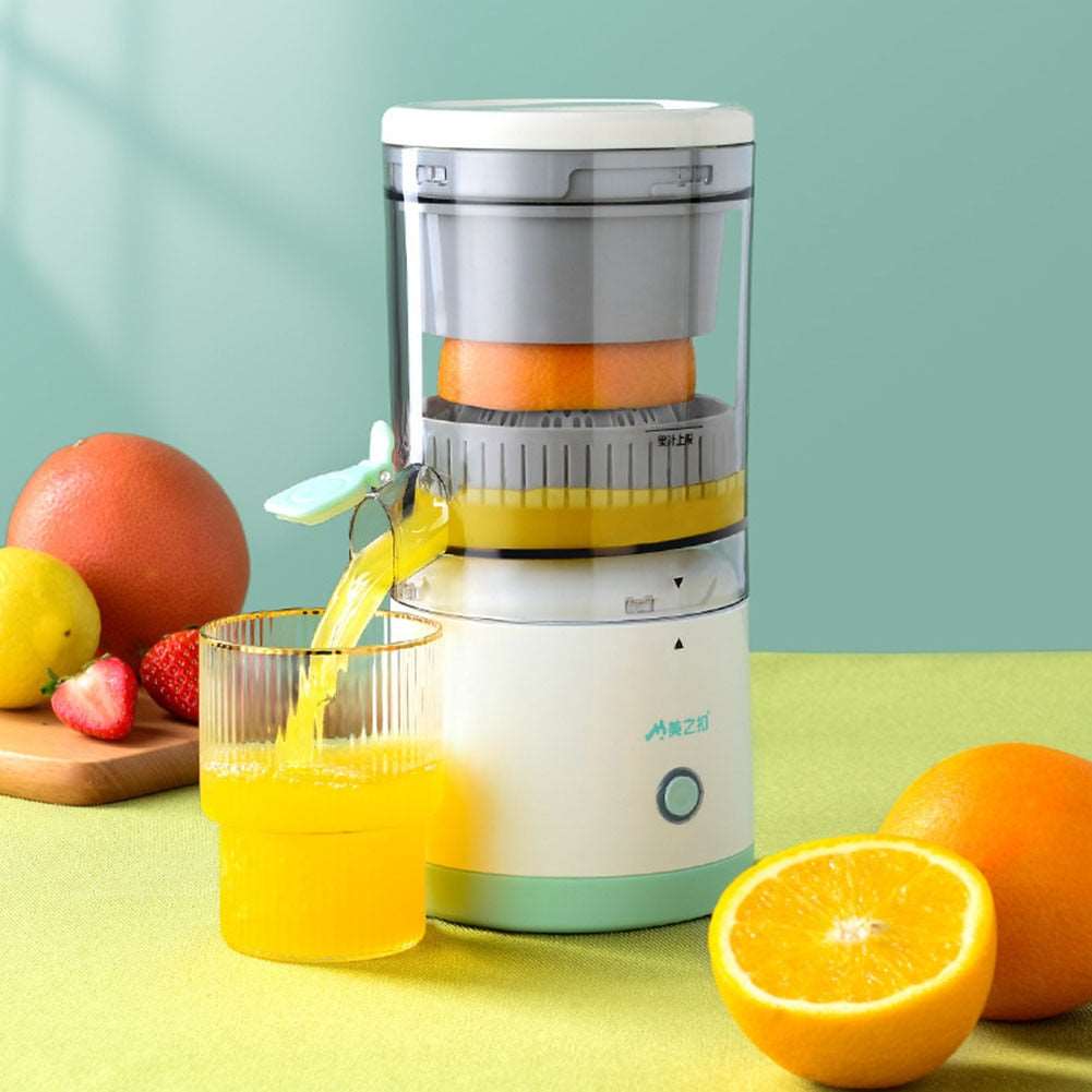 Mini Electric Fruit Mixer 724GoShop