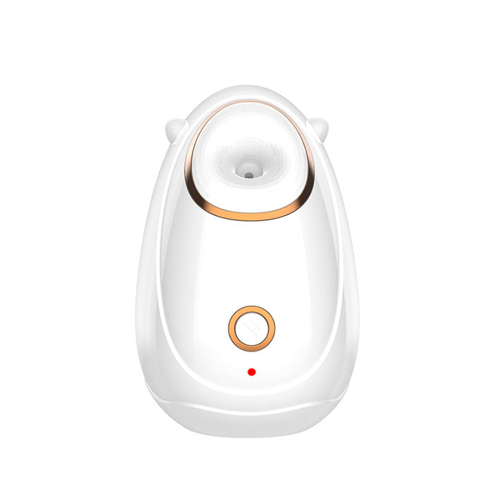 Beauty Face 2 in 1 Nano Spa Facial Humidifier Steamer White 724GoShop